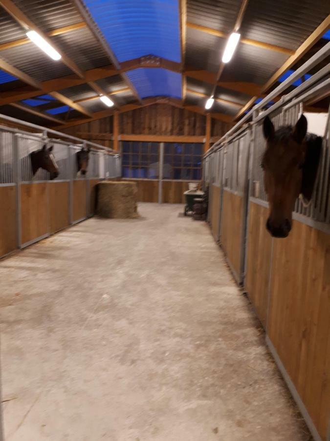 Gite Du Haras De Vales Moult Экстерьер фото